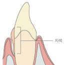 허그동물의료센터 이미지