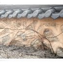 단양우리한옥민박 이미지