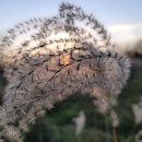 최정산 누리길 이미지