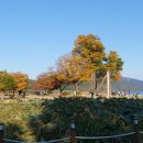 동양평농원 이미지