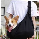 산책 이미지