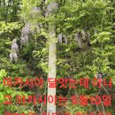 심봤다약초2
