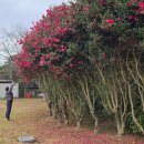 무수목장 이미지