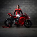 프리미어오토모빌(주) 이미지