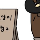 근육고양이잡화점