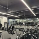 마르스 짐 이미지