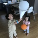 우가정