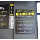 제주지네