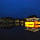 천년지향 이미지