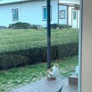 하광로CC