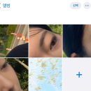라쿤롤(주) | 띄어쓰기 가득한 미로
