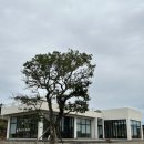그모르메 | 제주 금오름 근처 카페 그모르메 후기