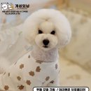 개성있냥