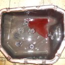 오토카랜드 이미지