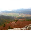 나로도주유소 이미지