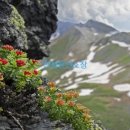 부산시민공원 시민사랑채 이미지