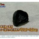 남해흑마늘