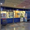 코오롱애견 이미지