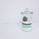 형남초등 병설 이미지