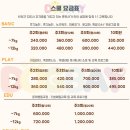 도그베이 미사점 이미지