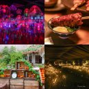 미스터라라 | 제주도 일주일살기 숙소 비용 미스터멘션 예약 제주 홀릭뮤지엄 9월 여행 코스