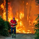 탄소발자국과 지구의 미래 이미지