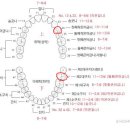 신경치료 이정도 가격이면 괜찮나요? 이미지