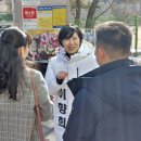 성안초등학교 이미지