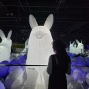 피아노가 흐르는 서양미술사 | [제주 전시회] 아르떼뮤지엄 미디어아트 관람시간 포토존 관람 후기