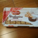 누네띠네 이미지