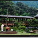 솔베르크 이미지