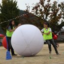 안내초등학교 이미지