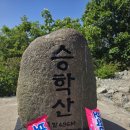 건국고등학교 | [부산 등산] 초보자도 가볼 만한 승학산 코스! 동아대 출발 가파른 경사 끝에 만난 역대급 시티뷰 (feat...