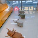 봄빛소아청소년과의원 네이버블로그