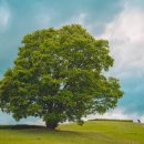 박물관역(2번출구 옆) 이미지