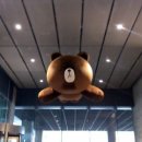 티곰 이미지