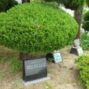 슬기롭게 건강하게 이미지