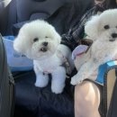 햇살가득동물병원 이미지