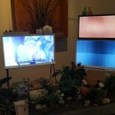 선이네농장 이미지