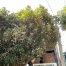 로사모텔 이미지