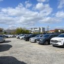 궁남지 서문주차장 | 충남 11월 가볼만한곳 백제고도부여국화축제 2025 궁남지 가을 여행 주말 방문 후기