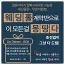 알파플러스