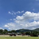 타코비김해 이미지