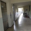 개웅초등학교 이미지