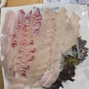 성신회집 | 성신여대 횟집 청춘종합어시장 성신여대점 내돈내산후기