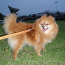 명륜동-8 이미지