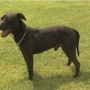 대구동물약국 이미지