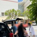 비타민은 다혜 이미지