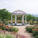 청학근린공원[청학-5] 이미지