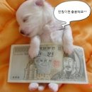 천천푸르지오(아) 이미지